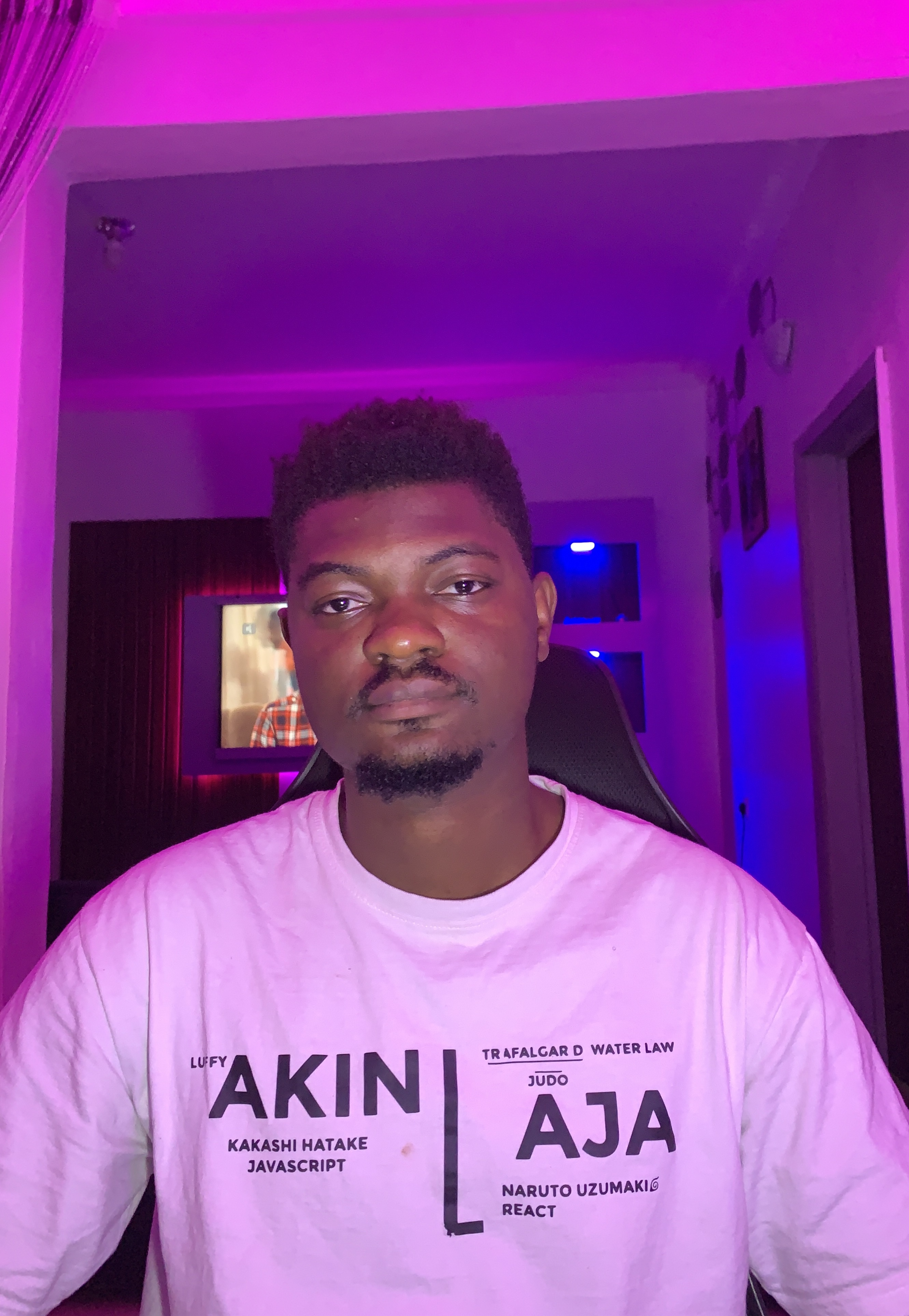 Timileyin Akinlaja - Professional Website Developer in Lagos, Nigeria